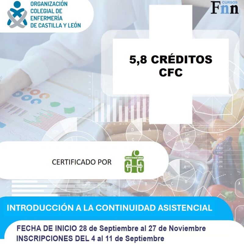 CursoFNN_Septiembre2024_Introducción_a_la_ continuidad_ asistencial