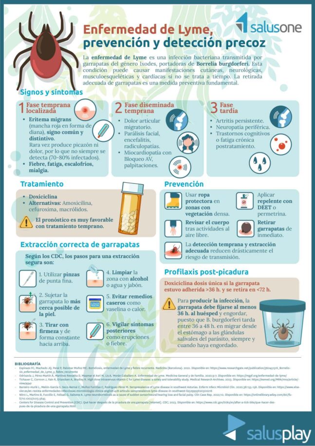 Infograf a SalusPlay Enfermedad De LYME Prevenci n Y Detecci n Precoz Infograf a SalusPlay Enfermedad De LYME Prevenci n Y Detecci n Precoz