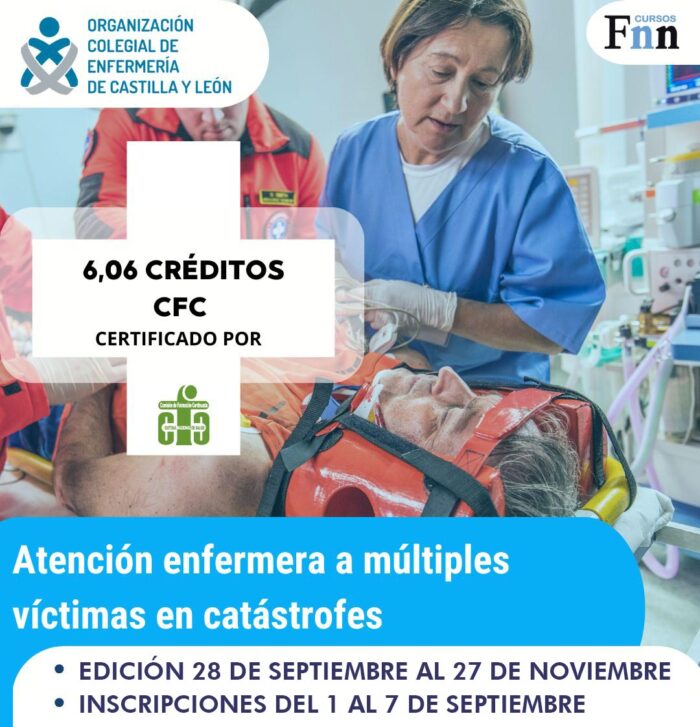 Cursos colegios Petri - 15