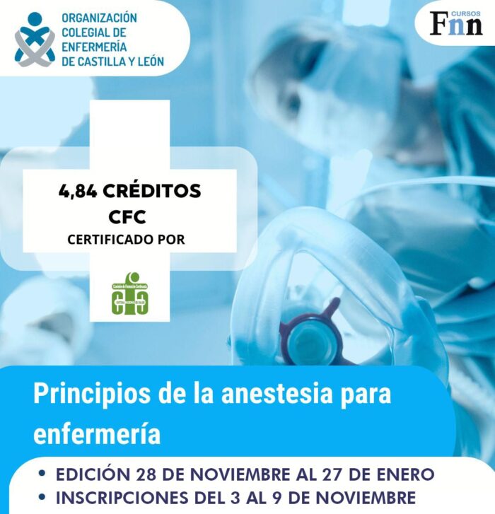 Cursos colegios Petri - 21