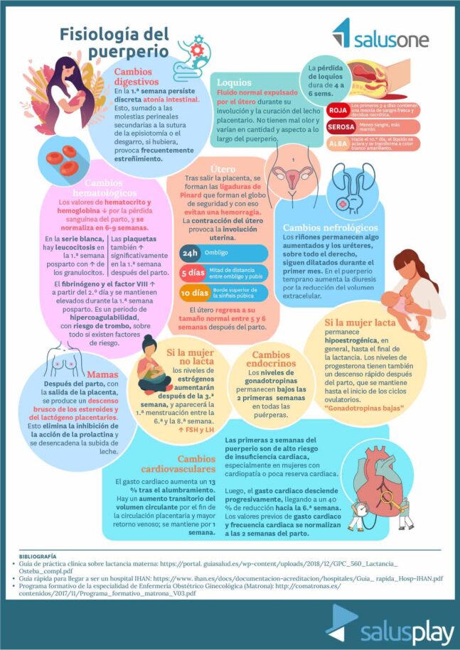 Infografia-fisiologia-del-puerperio