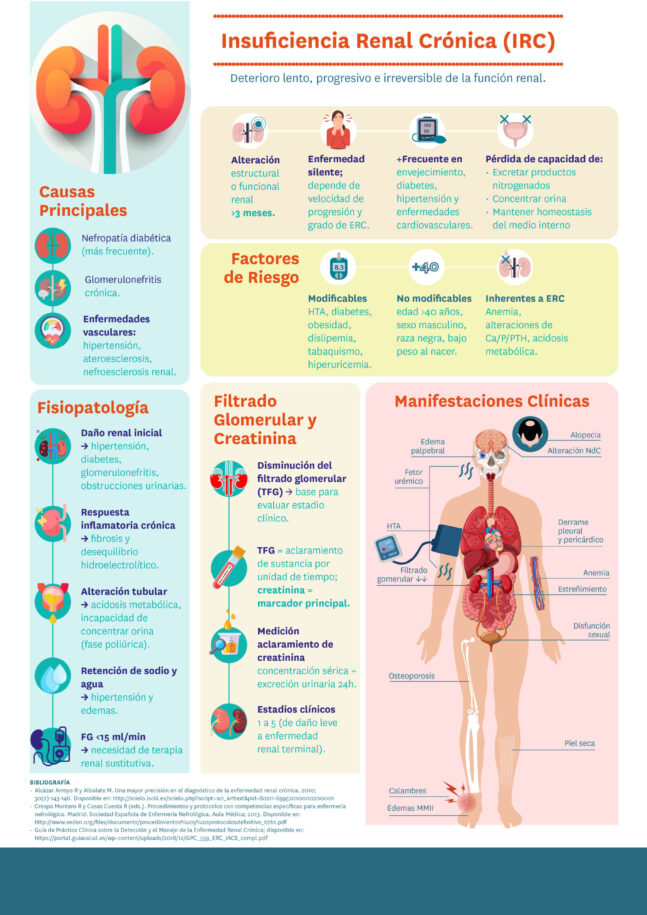 03.INSUFICIENCIA RENAL CRÓNICA_1080x1080_ES